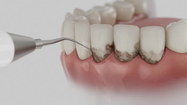 Reliable Dental contractor in Whitesburg, KY by Dentist Open Now